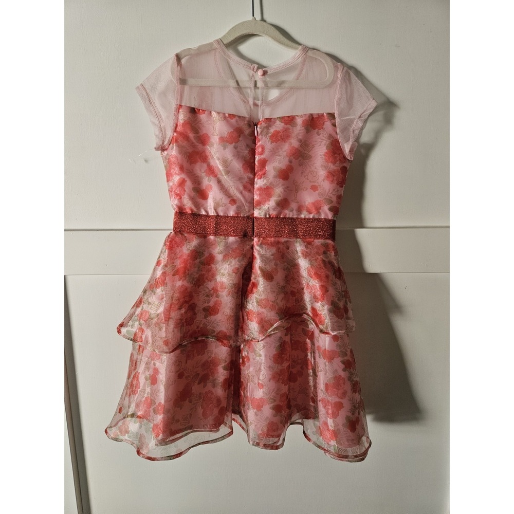 NWOT Disney Beauty and The Beast Pink And Red Rose Print Lined Dress, Size Med. - Picture 4 of 9